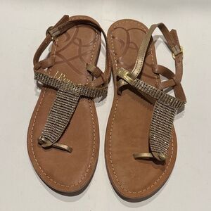 J.Renee Brown and Gold Embellished Sandals